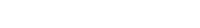 上海盛鼎隆传动科技有限公司