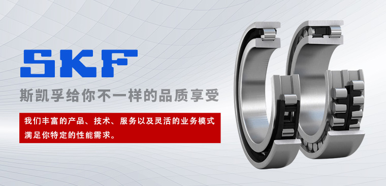 上海盛鼎隆传动科技有限公司
